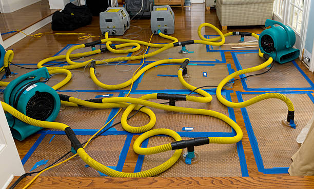 Professional Crawl Space Water Removal technician working in Chase, MI